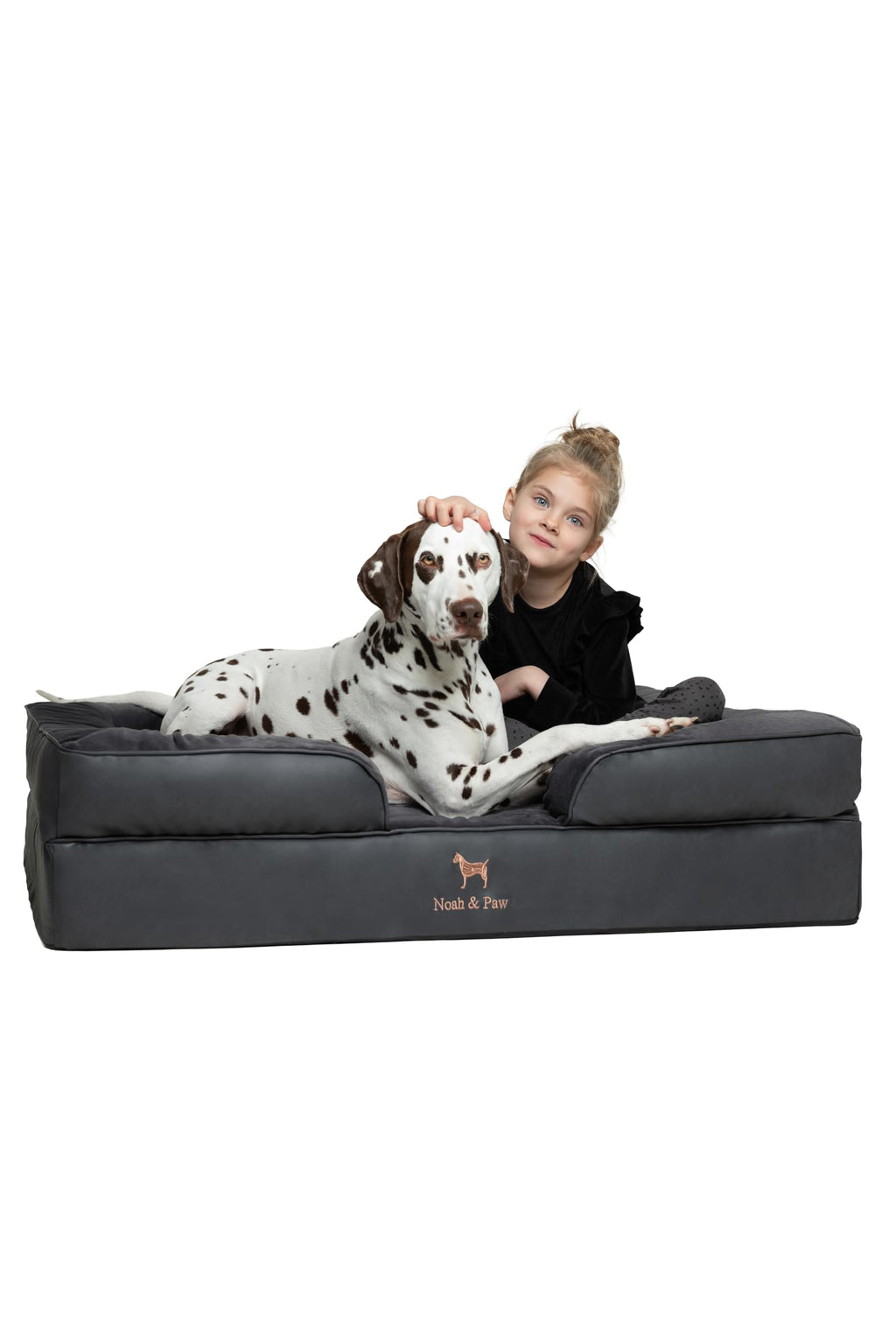 NOAH & PAW Orthopedic Dog Beds Memory Foam Infused with Cooling Gel S-XXL - Bellhaven & Co.