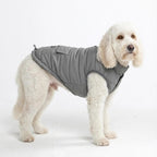 Spark Paws Dog Winter Coat Jacket - Warm Dog Clothes for Small Large Dogs