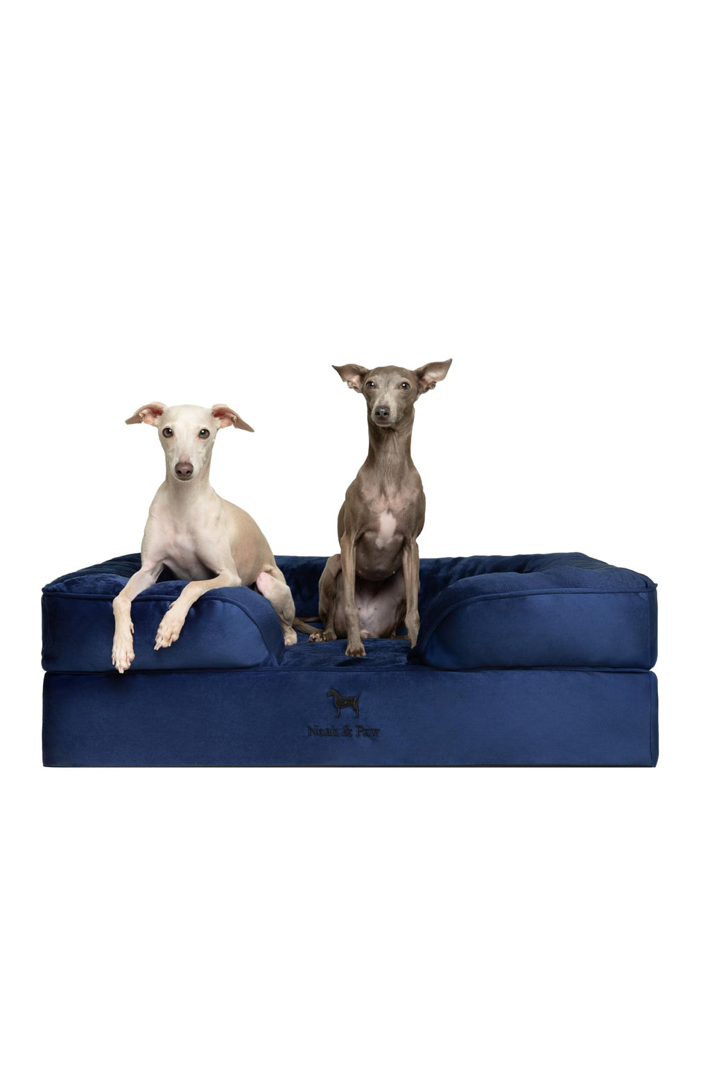 NOAH & PAW Orthopedic Dog Beds Memory Foam Infused with Cooling Gel S-XXL - Bellhaven & Co.