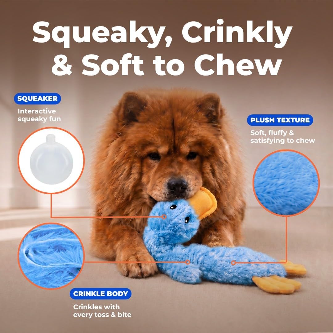 Best Pet Supplies Interactive Squeaky Dog Toy and Crinkle Dog Toys - Multiple Choices - Bellhaven & Co.