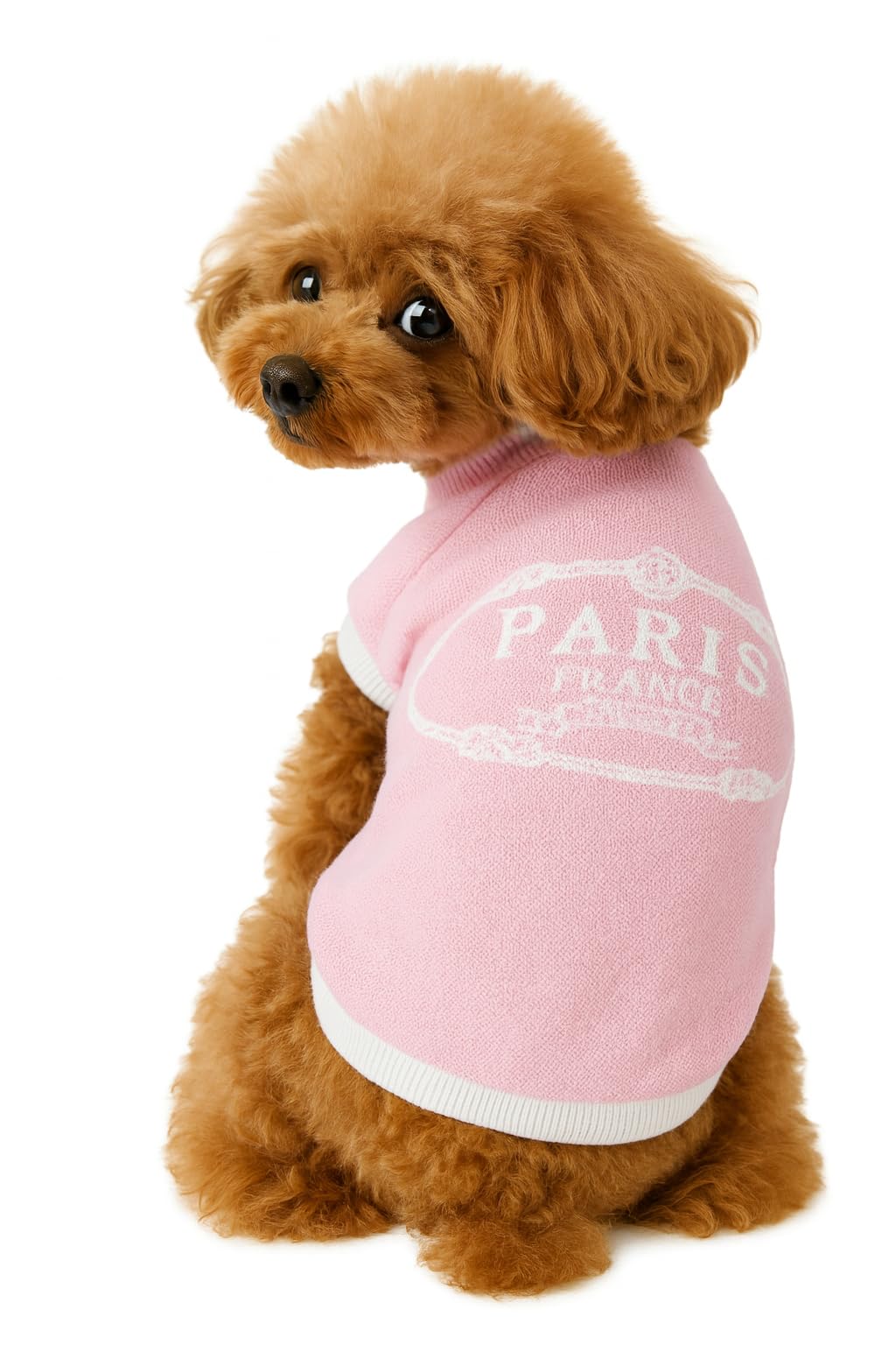 Luxury Dog Sweater Soft Knit Designer Inpsired Multiple Designs XS-7XL