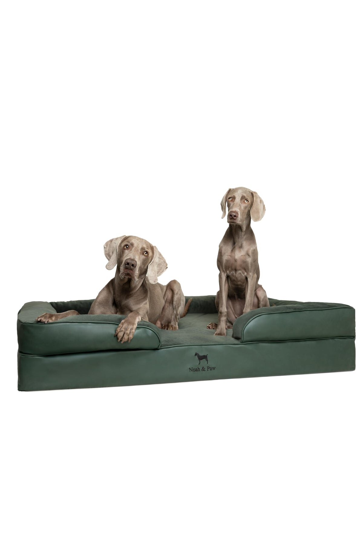 NOAH & PAW Orthopedic Dog Beds Memory Foam Infused with Cooling Gel S-XXL - Bellhaven & Co.