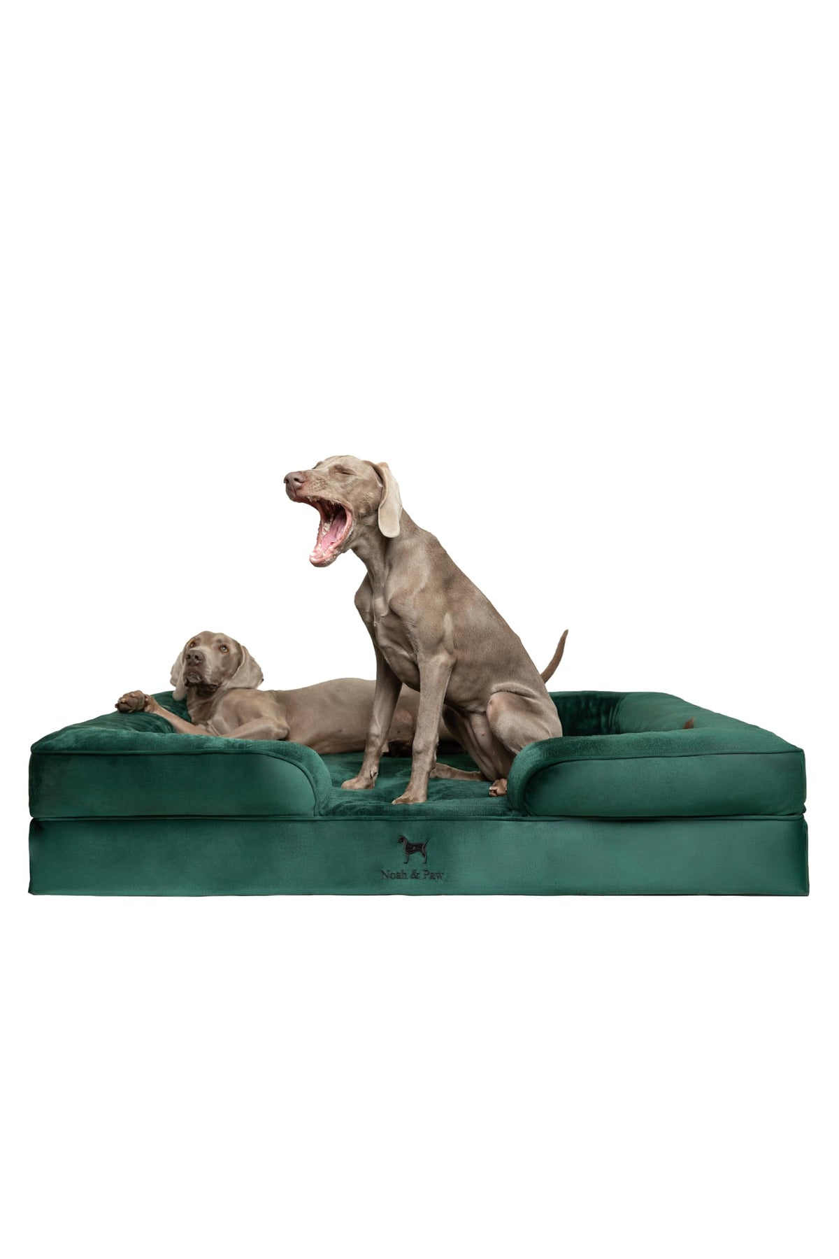 NOAH & PAW Orthopedic Dog Beds Memory Foam Infused with Cooling Gel S-XXL - Bellhaven & Co.