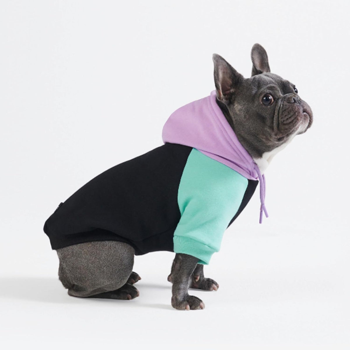 Spark Paws Dog Hoodie - Buttery-Soft Sweater Sweatshirt Multiple Color Design Options XS-4XL