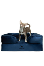 NOAH & PAW Orthopedic Dog Beds Memory Foam Infused with Cooling Gel S-XXL - Bellhaven & Co.