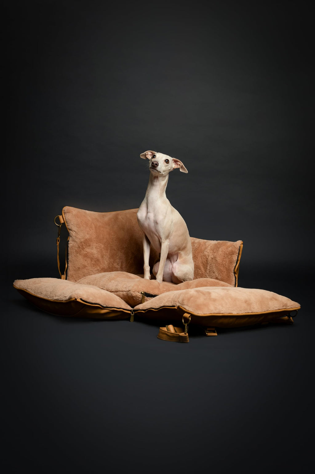 NOAH & PAW Small Dog Car Seat for Small Medium Pets with Harness Clip - Bellhaven & Co.