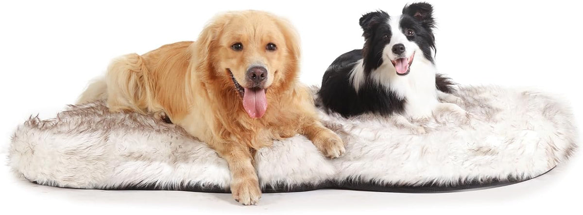 Luxury Faux Fur Dog Bed 6-inch Thick Grade Ultra Soft Orthopedic Memory Foam - Bellhaven & Co.