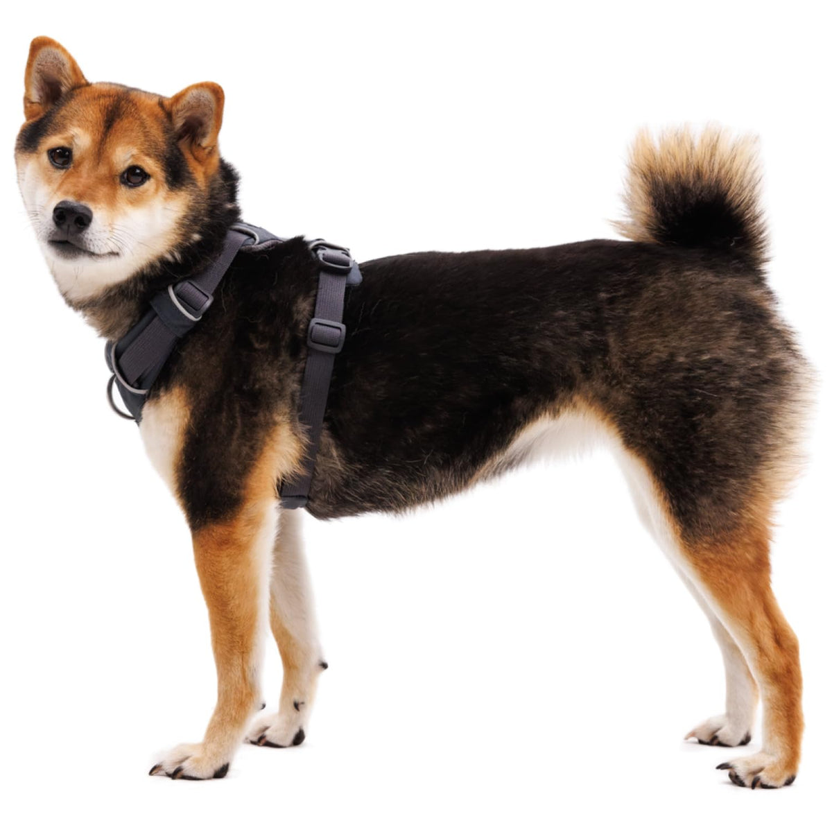 Ruffwear Front Range Dog Chest Harness Multiple Colors S-XL