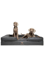 NOAH & PAW Orthopedic Dog Beds Memory Foam Infused with Cooling Gel S-XXL - Bellhaven & Co.