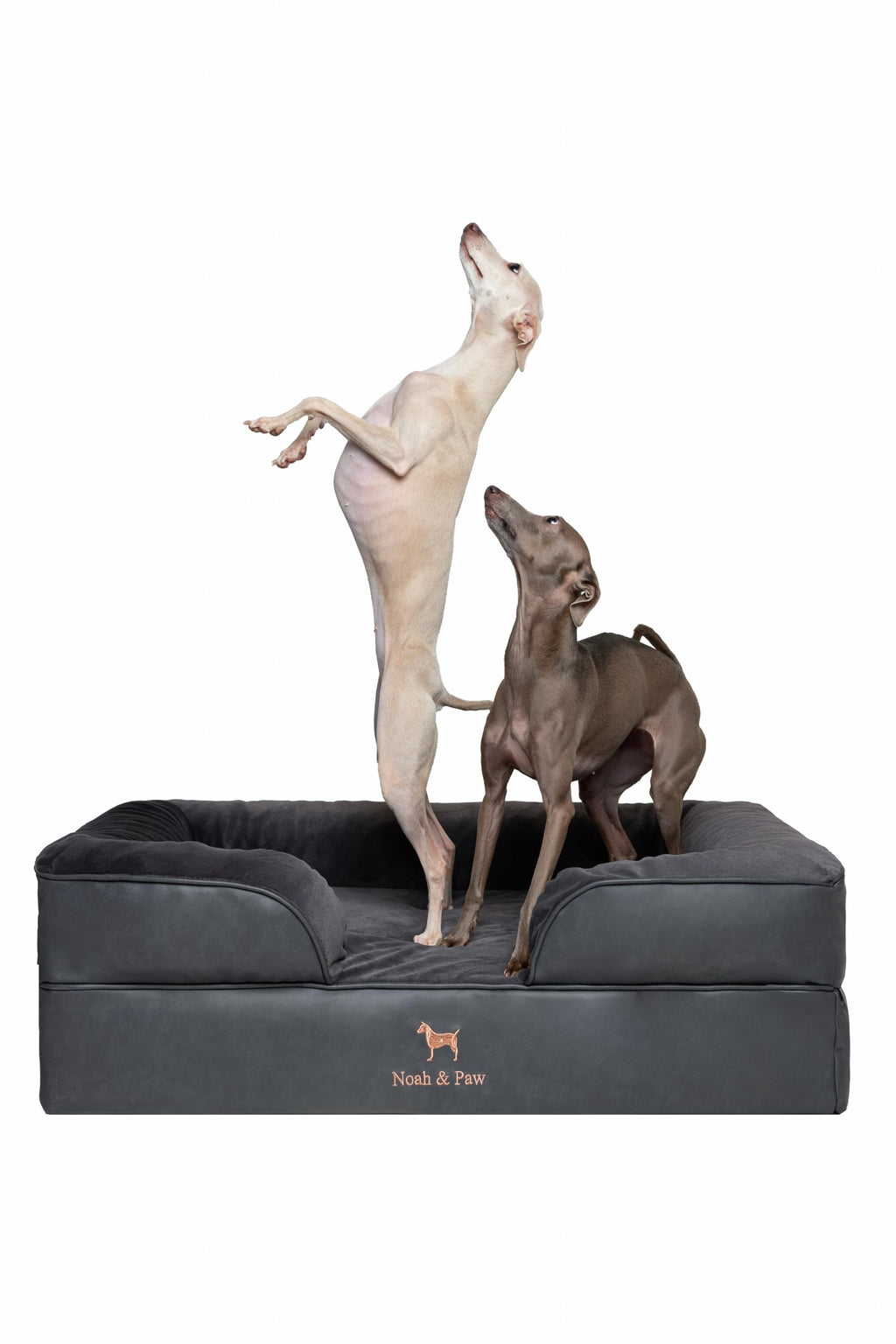 NOAH & PAW Orthopedic Dog Beds Memory Foam Infused with Cooling Gel S-XXL - Bellhaven & Co.