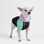 Spark Paws Dog Hoodie - Buttery-Soft Sweater Sweatshirt Multiple Color Design Options XS-4XL