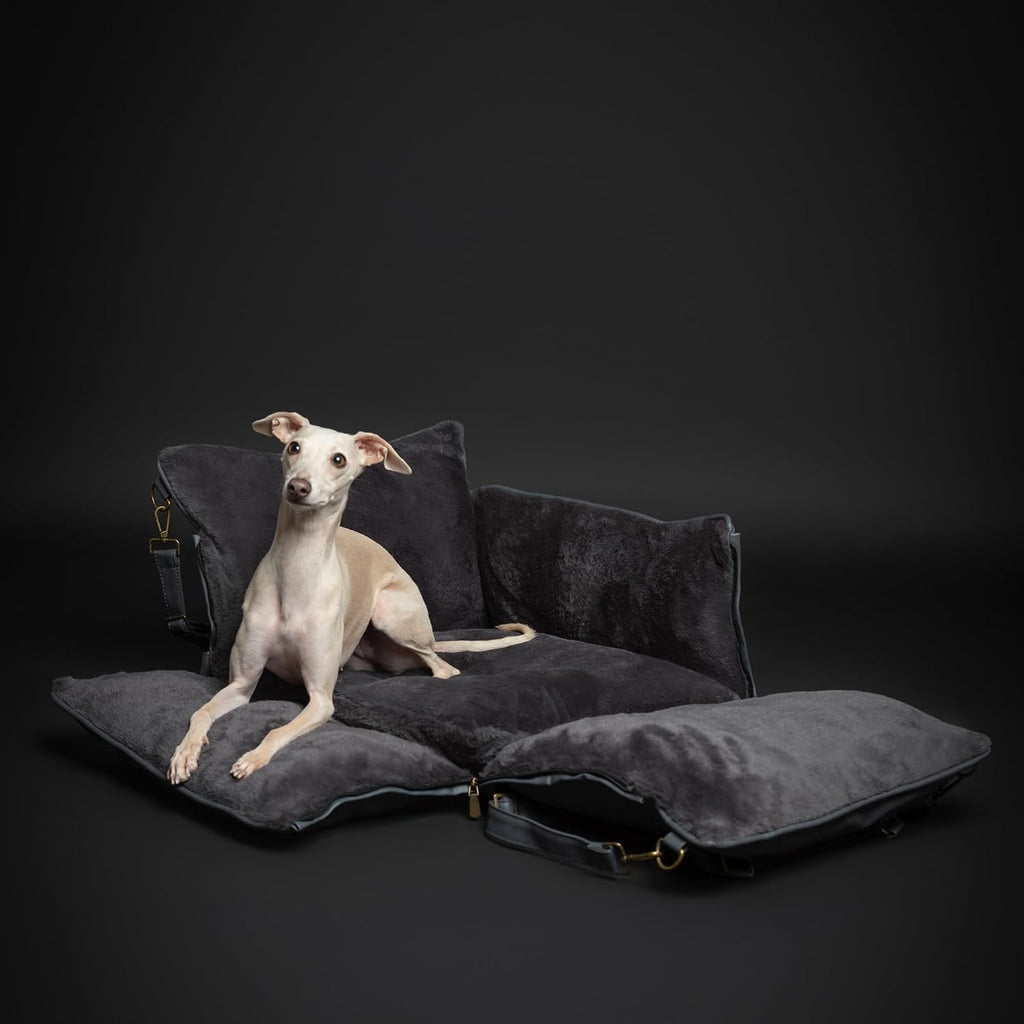 NOAH & PAW Small Dog Car Seat for Small Medium Pets with Harness Clip - Bellhaven & Co.
