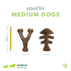 Benebone Medium 4-Pack Dog Toys for Aggressive Chewers - Bellhaven & Co.