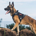 OneTigris Tactical Dog Harness Vest No-Pull Service Dog Vest  Multiple Colors XXS-XL
