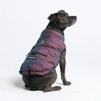Spark Paws Dog Winter Coat Jacket - Warm Dog Clothes for Small Large Dogs