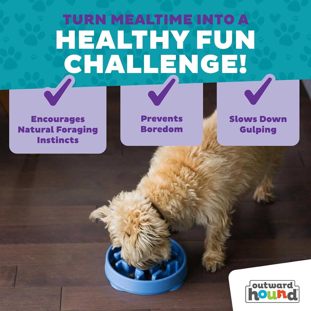 Outward Hound Fun Feeder Slow Feeding Bowl Non Slip for Dogs and Cats - Bellhaven & Co.