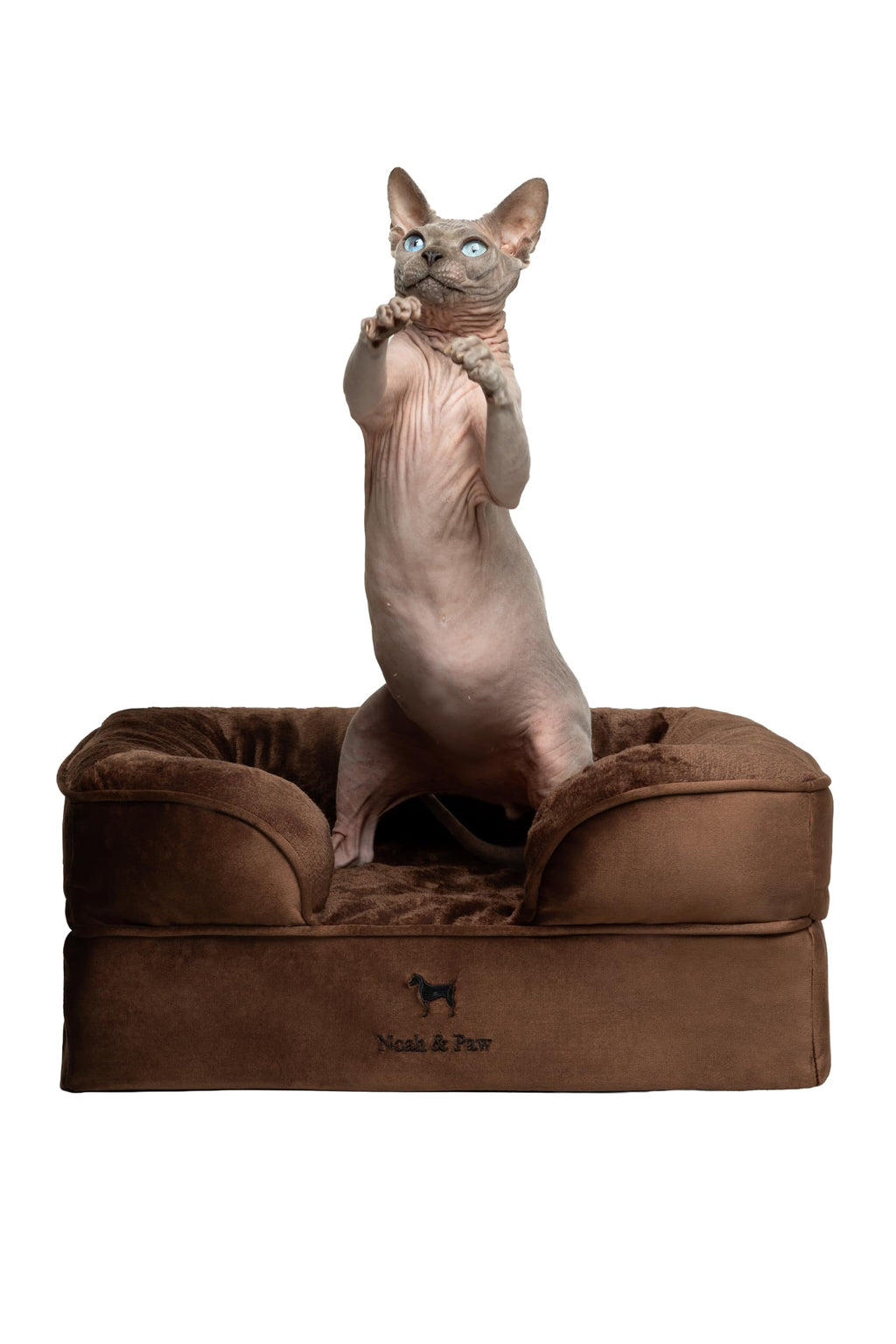 NOAH & PAW Orthopedic Dog Beds Memory Foam Infused with Cooling Gel S-XXL - Bellhaven & Co.