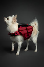 NOAH & PAW Human Standards Dog Lifejacket 3X Foam Support for Max Floating - Bellhaven & Co.