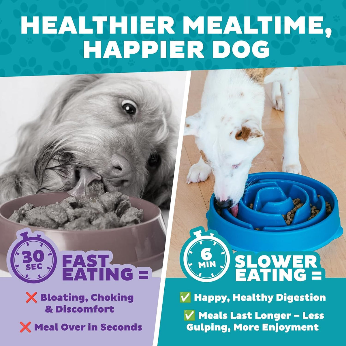 Outward Hound Fun Feeder Slow Feeding Bowl Non Slip for Dogs and Cats - Bellhaven & Co.