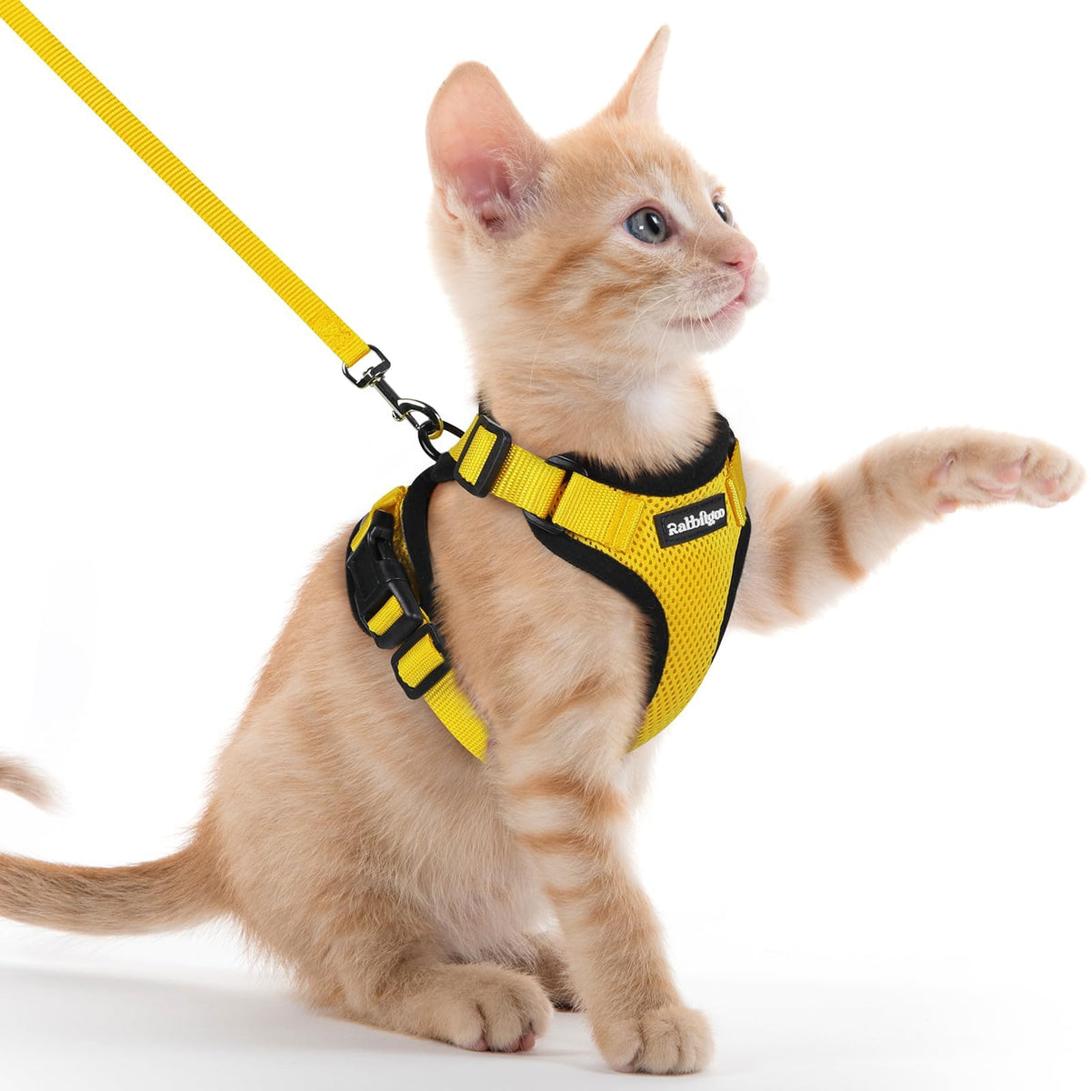 Rabbitgoo Cat Harness and Leash Set Escape Proof Vest Soft Breathable Mesh - Bellhaven & Co.