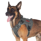 OneTigris Tactical Dog Harness Vest No-Pull Service Dog Vest  Multiple Colors XXS-XL