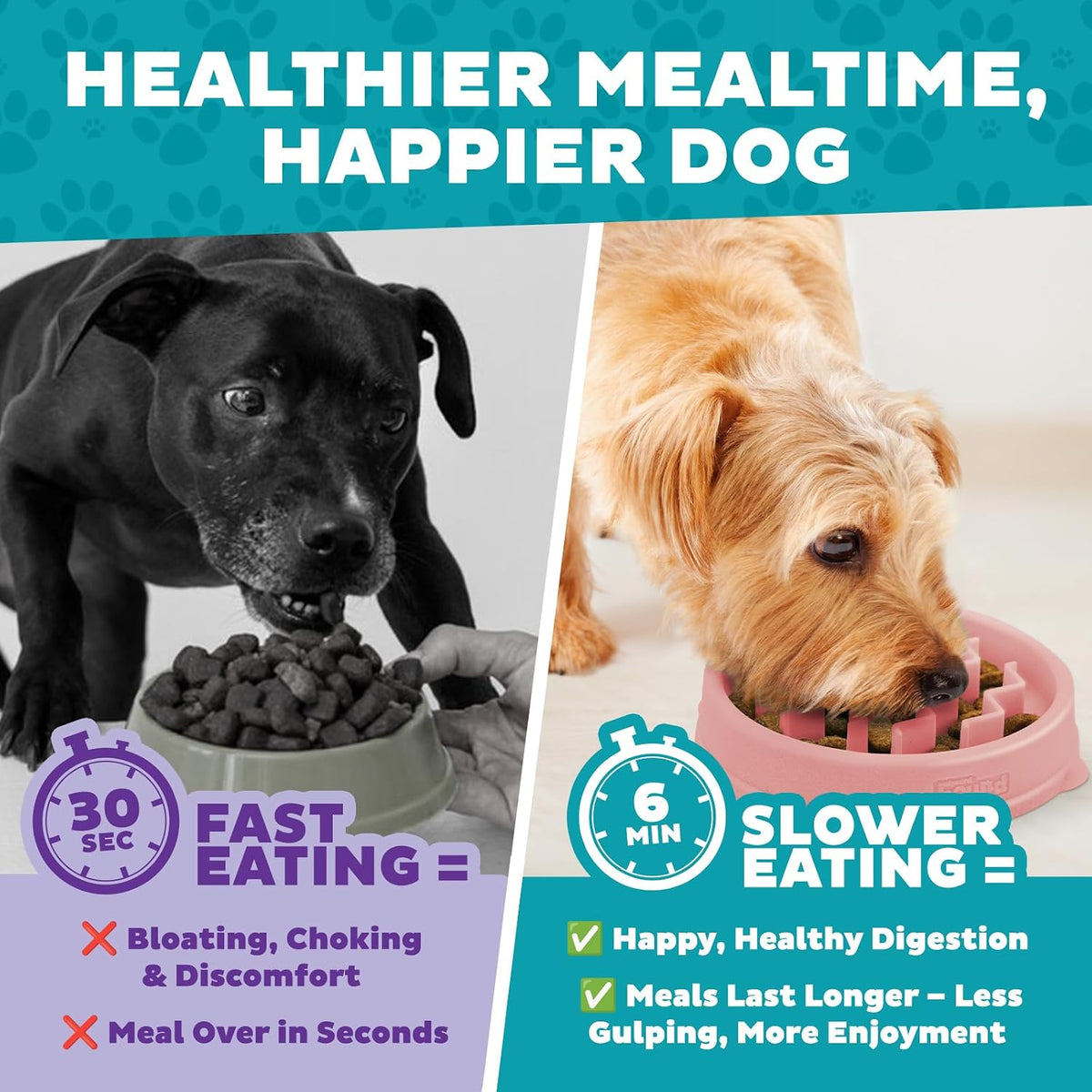 Outward Hound Fun Feeder Slow Feeding Bowl Non Slip for Dogs and Cats - Bellhaven & Co.