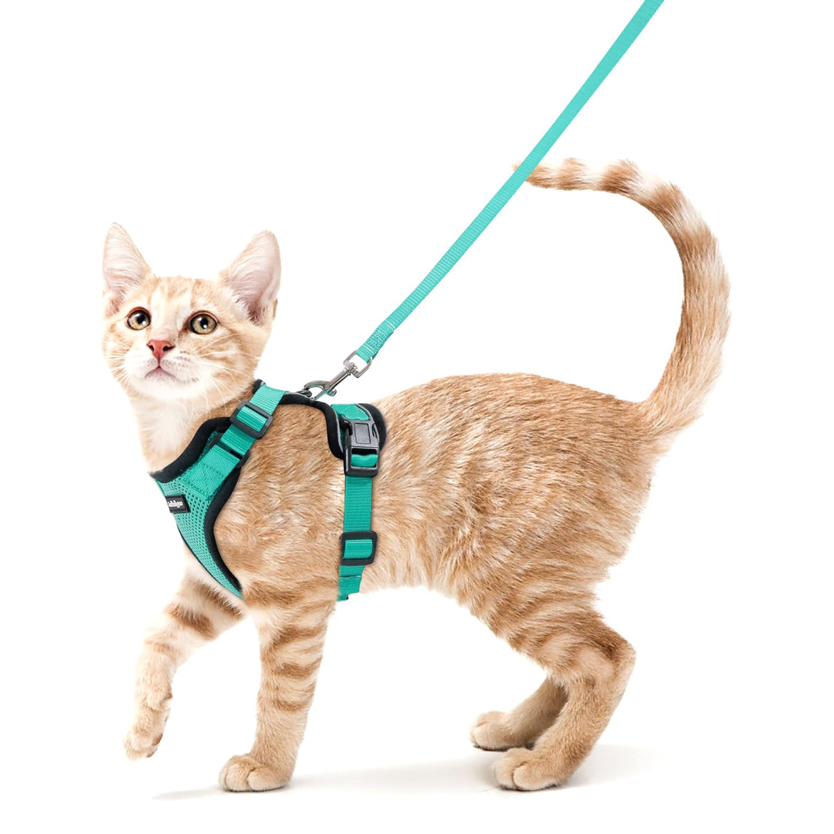 Rabbitgoo Cat Harness and Leash Set Escape Proof Vest Soft Breathable Mesh - Bellhaven & Co.