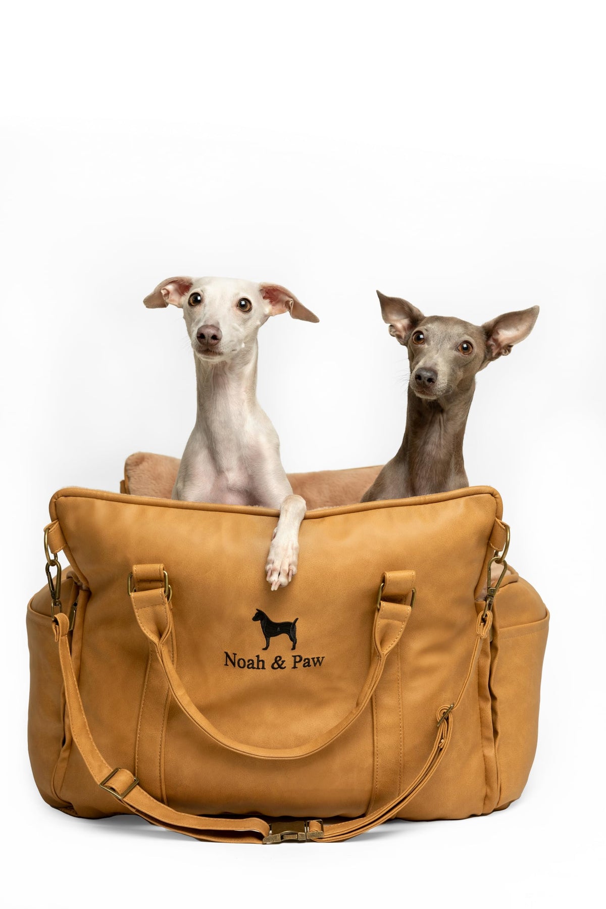 NOAH & PAW Small Dog Car Seat for Small Medium Pets with Harness Clip - Bellhaven & Co.