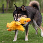 Best Pet Supplies Interactive Squeaky Dog Toy and Crinkle Dog Toys - Multiple Choices - Bellhaven & Co.