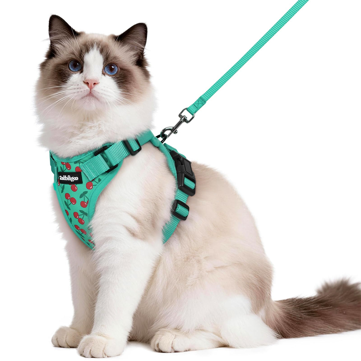 Rabbitgoo Cat Harness and Leash Set Escape Proof Vest Soft Breathable Mesh - Bellhaven & Co.