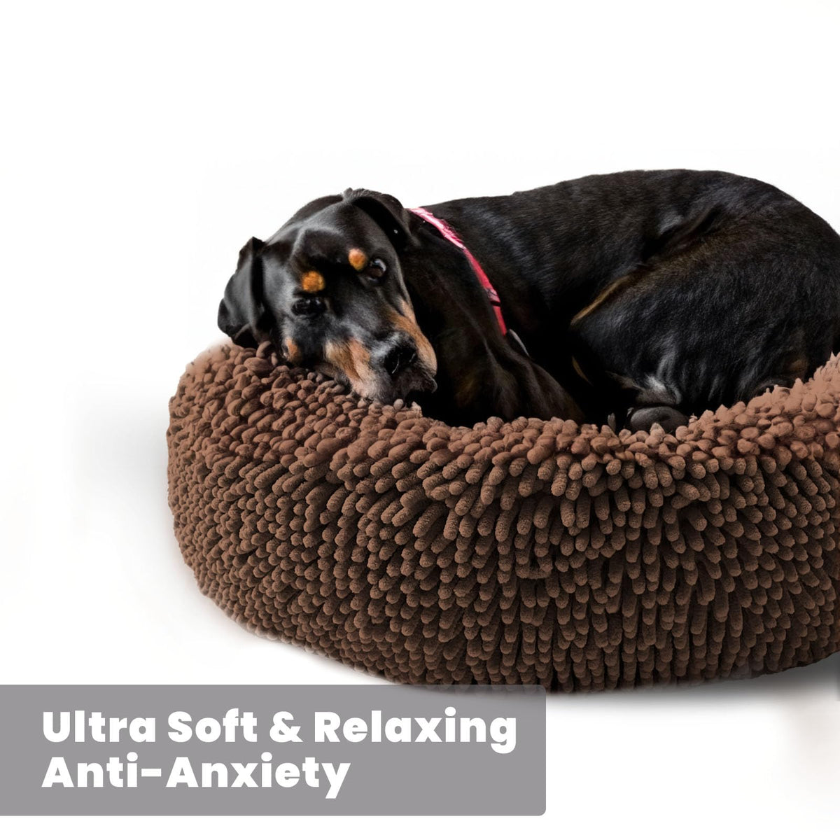 Muddy Mat® Cloud K-9 Dog Beds for Dogs and Cats, Sizes Small-Large