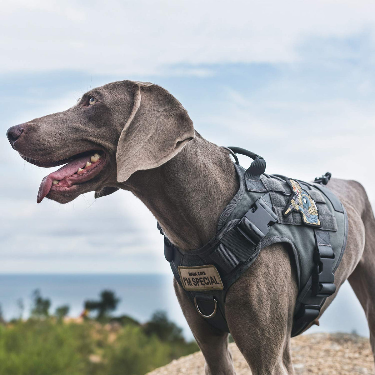 OneTigris Tactical Dog Harness Vest No-Pull Service Dog Vest  Multiple Colors XXS-XL