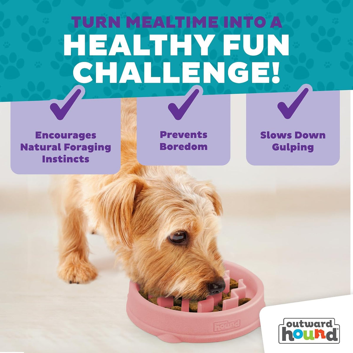 Outward Hound Fun Feeder Slow Feeding Bowl Non Slip for Dogs and Cats - Bellhaven & Co.