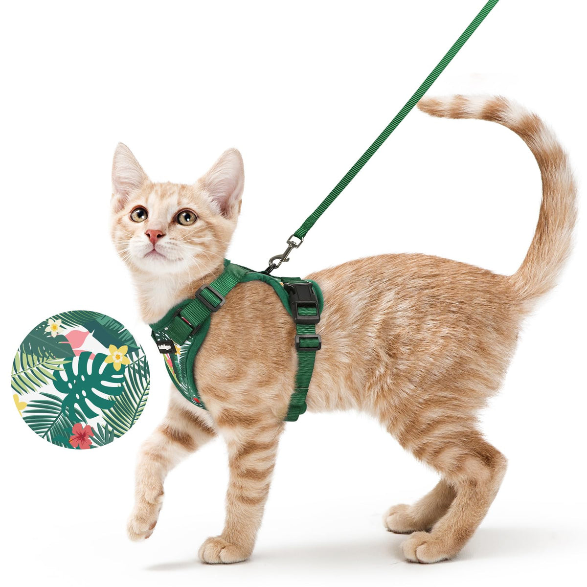Rabbitgoo Cat Harness and Leash Set Escape Proof Vest Soft Breathable Mesh - Bellhaven & Co.