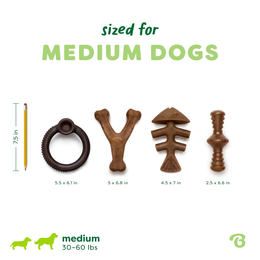 Benebone Medium 4-Pack Dog Toys for Aggressive Chewers - Bellhaven & Co.