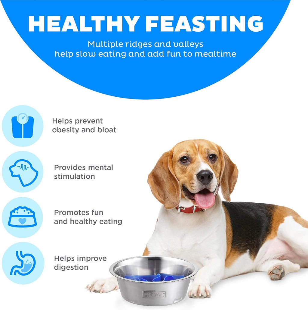 Outward Hound Fun Feeder Slow Feeding Bowl Non Slip for Dogs and Cats - Bellhaven & Co.