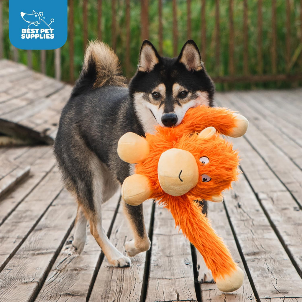 Best Pet Supplies Interactive Squeaky Dog Toy and Crinkle Dog Toys - Multiple Choices - Bellhaven & Co.
