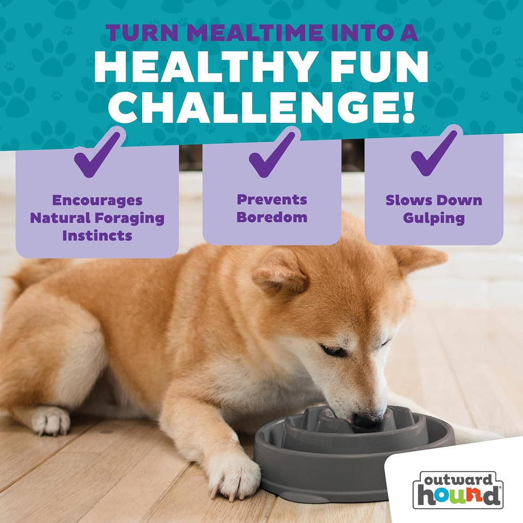 Outward Hound Fun Feeder Slow Feeding Bowl Non Slip for Dogs and Cats - Bellhaven & Co.