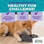 Outward Hound Fun Feeder Slow Feeding Bowl Non Slip for Dogs and Cats - Bellhaven & Co.