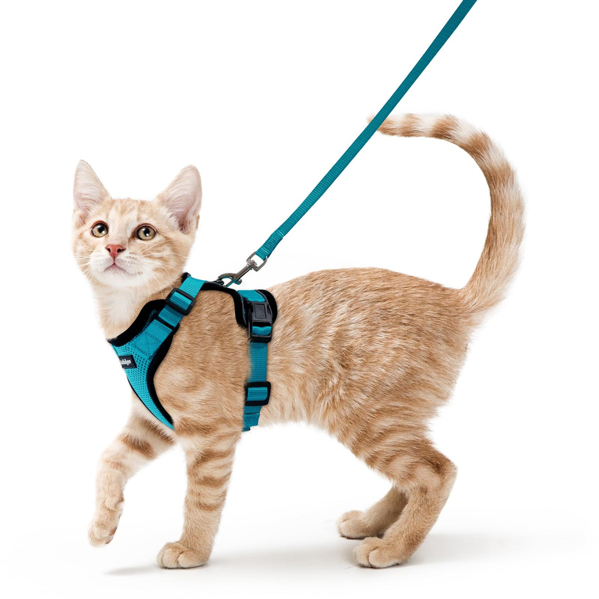Rabbitgoo Cat Harness and Leash Set Escape Proof Vest Soft Breathable Mesh - Bellhaven & Co.