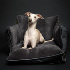 NOAH & PAW Small Dog Car Seat for Small Medium Pets with Harness Clip - Bellhaven & Co.
