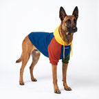 Spark Paws Dog Hoodie - Buttery-Soft Sweater Sweatshirt Multiple Color Design Options XS-4XL