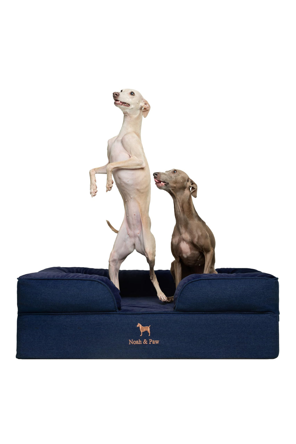 NOAH & PAW Orthopedic Dog Beds Memory Foam Infused with Cooling Gel S-XXL - Bellhaven & Co.