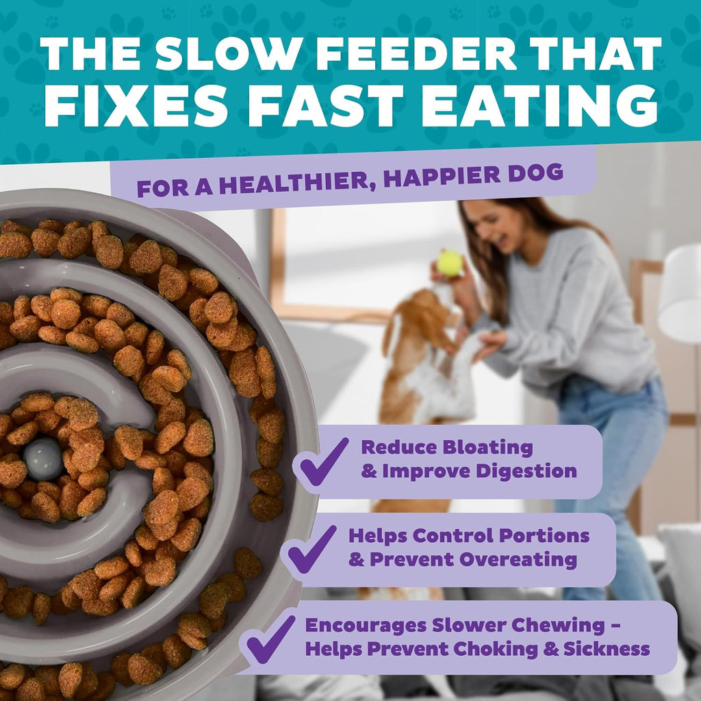 Outward Hound Fun Feeder Slow Feeding Bowl Non Slip for Dogs and Cats - Bellhaven & Co.