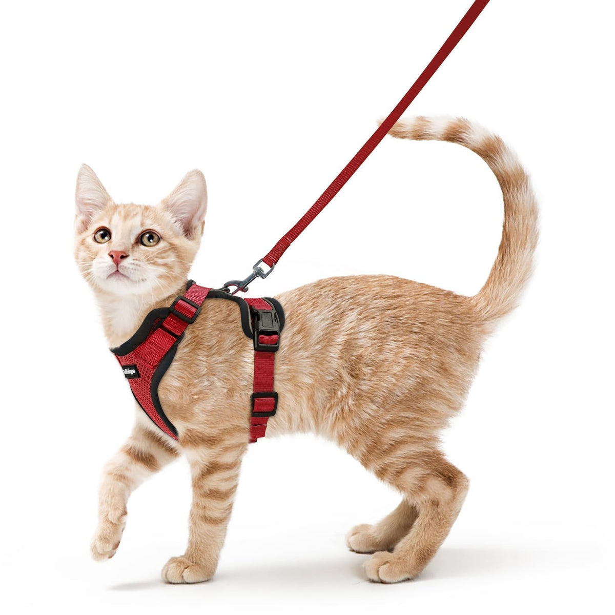 Rabbitgoo Cat Harness and Leash Set Escape Proof Vest Soft Breathable Mesh - Bellhaven & Co.