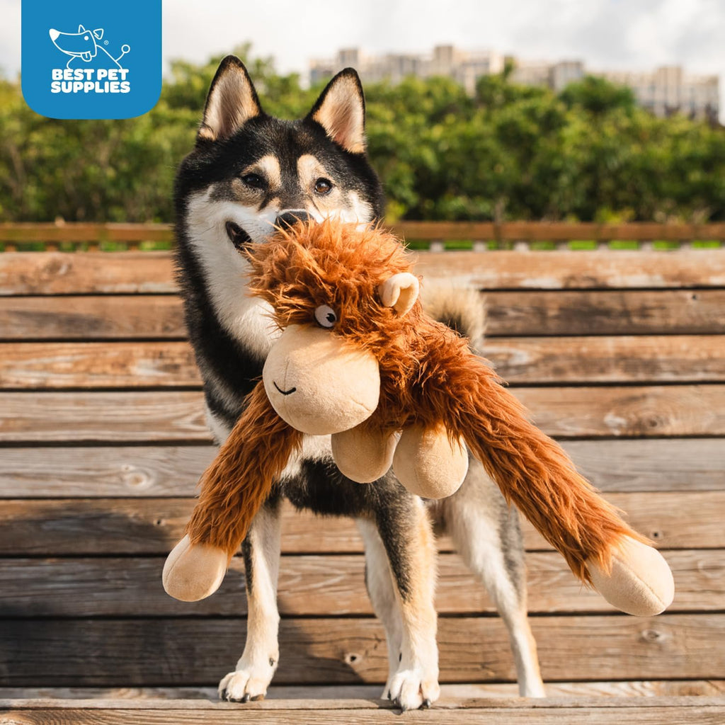 Best Pet Supplies Interactive Squeaky Dog Toy and Crinkle Dog Toys - Multiple Choices - Bellhaven & Co.