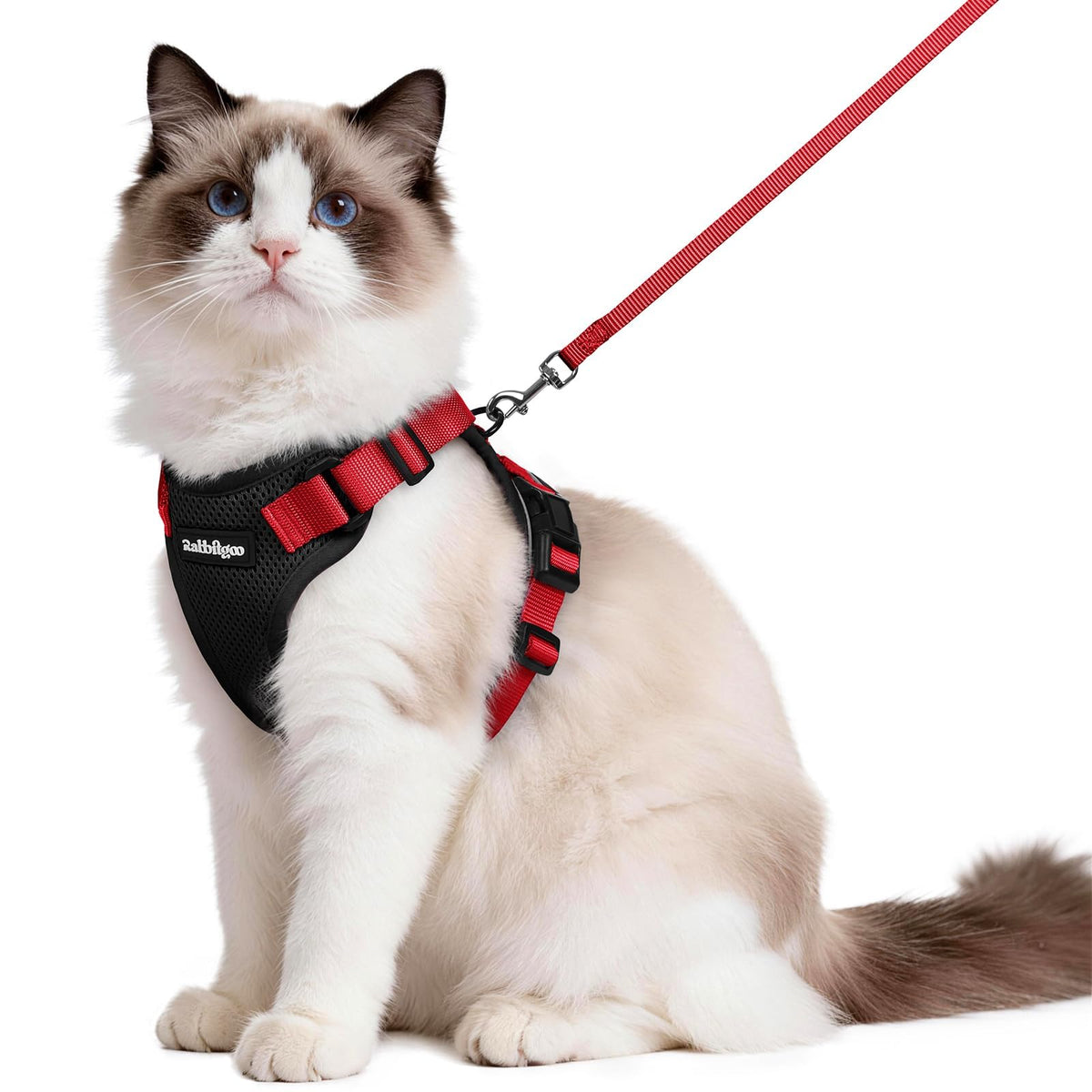 Rabbitgoo Cat Harness and Leash Set Escape Proof Vest Soft Breathable Mesh - Bellhaven & Co.