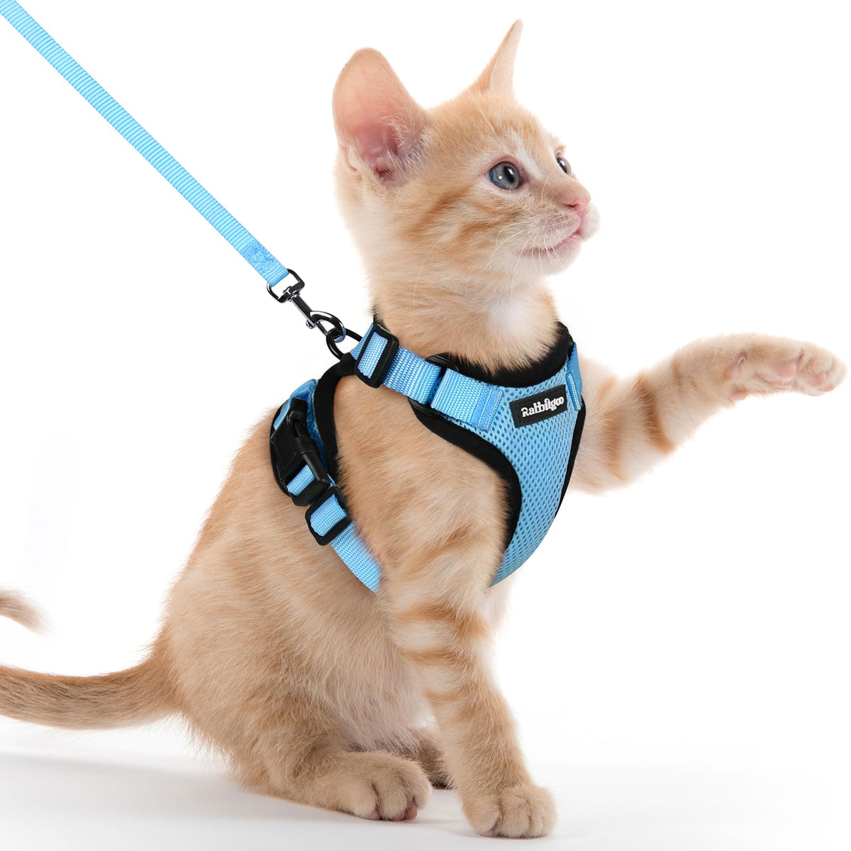 Rabbitgoo Cat Harness and Leash Set Escape Proof Vest Soft Breathable Mesh - Bellhaven & Co.