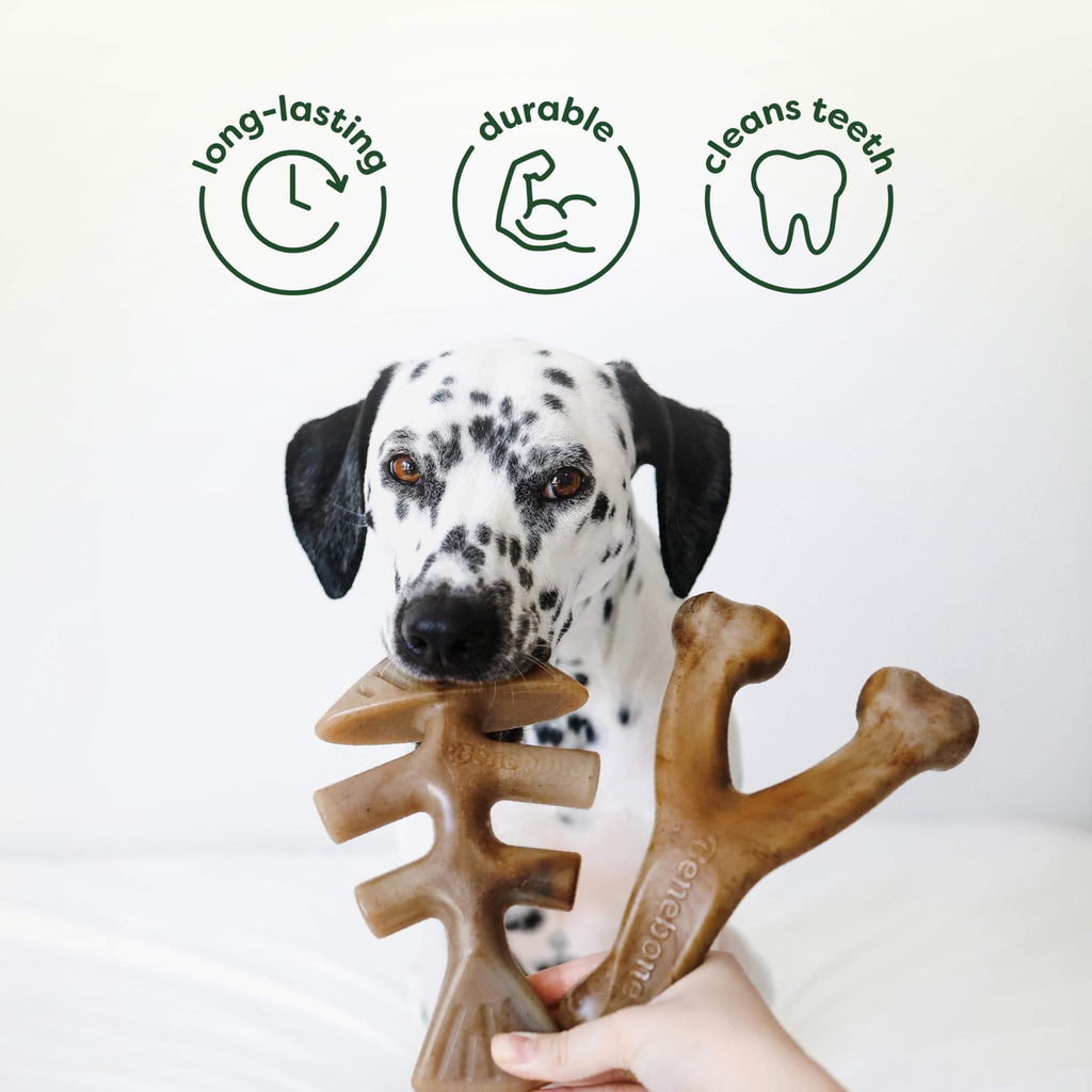 Benebone Medium 4-Pack Dog Toys for Aggressive Chewers - Bellhaven & Co.