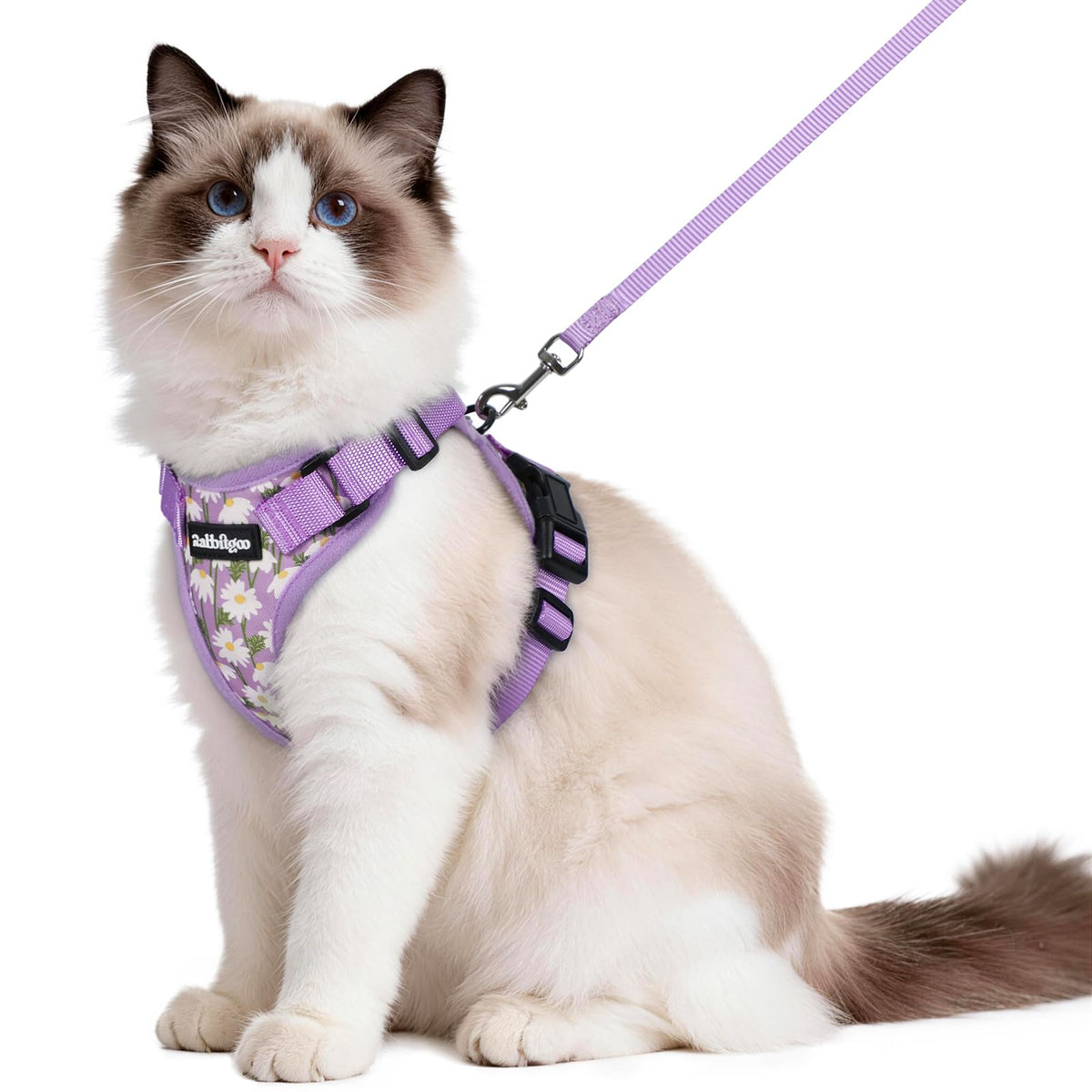 Rabbitgoo Cat Harness and Leash Set Escape Proof Vest Soft Breathable Mesh - Bellhaven & Co.